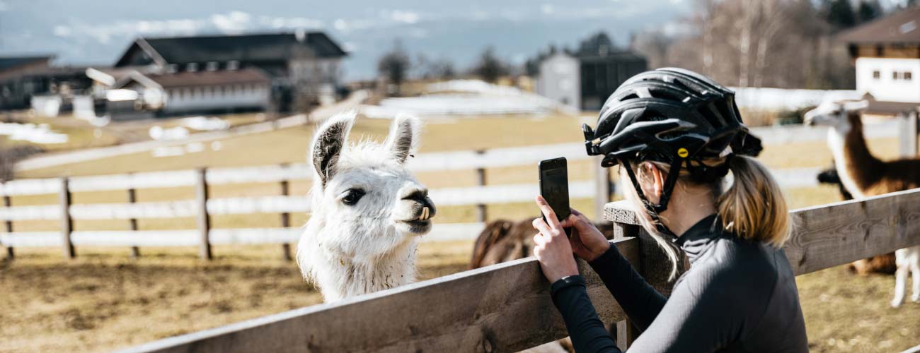 Frau-beim-Fotografieren-eines-Lamas
